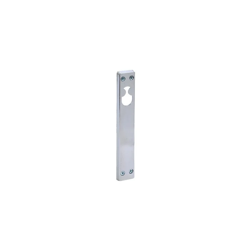 Cylinderskylt 20mm insida krom
