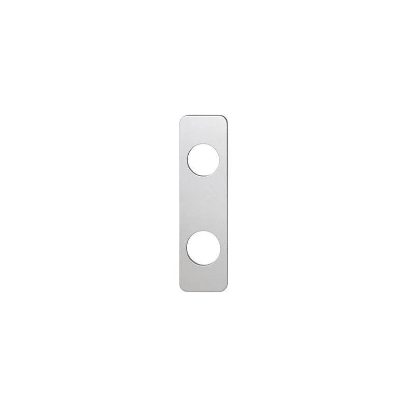 Täckskylt 2910 F1 aluminium silver SB