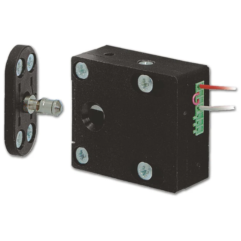 Elektriskt skåplås 1049.10 RR/BS
