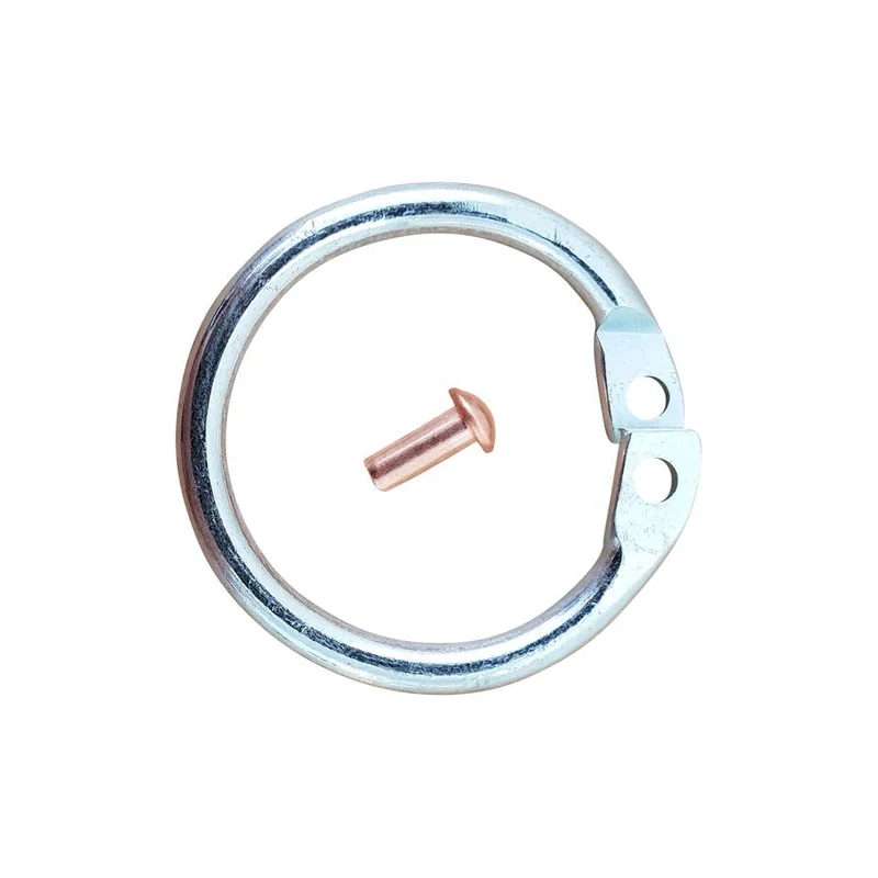 Väktarring 23mm